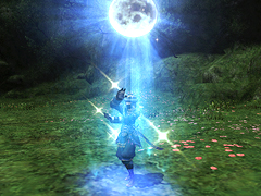 Update06-21-2010 5.jpg