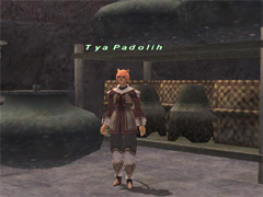 Update03-26-2012 16.jpg